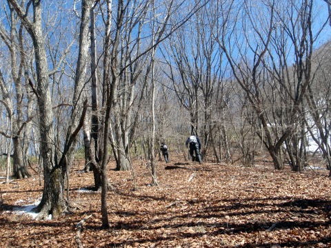 2011.3.5 大蔵高丸(尾根歩き)
