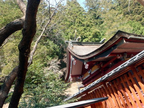 2011.4.17 黒富士(尾根歩き)