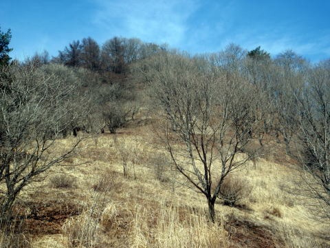 2011.4.17 黒富士(尾根歩き)