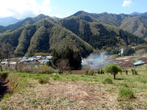 2011.4.24 甚之函山(尾根歩き)