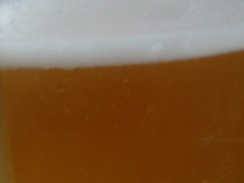 2011.4.24 甚之函山(尾根歩き)