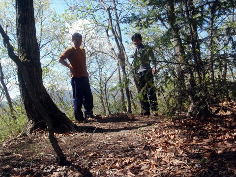 2011.4.24 甚之函山(尾根歩き)