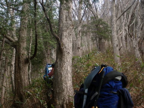 2011.5.3-5 鹿島槍ヶ岳(雪山)