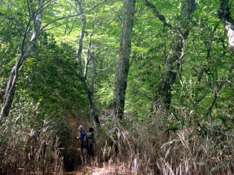 2011.5.21鬼石沢(沢登り)