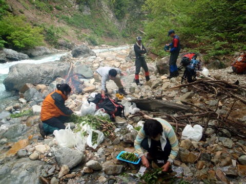 2011.5.28-29 赤湯(山菜取り)(イベント)