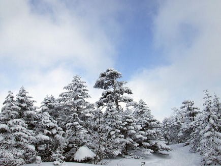 2013.2.16-17 北横岳(雪山)