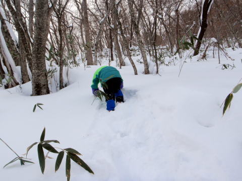 2012.1/8-9　那須・甲子山（雪山）