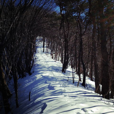 2012.2/4　中央線沿線・笹子雁ヶ腹摺山～小路沢ノ頭北尾根（尾根歩き）