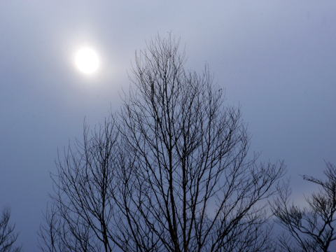 2012.2/18-19　明神ヶ岳（雪山）