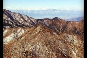 2012.2.4　中央線沿線・笹子雁ヶ腹摺山～小路沢ノ頭北尾根（尾根歩き）