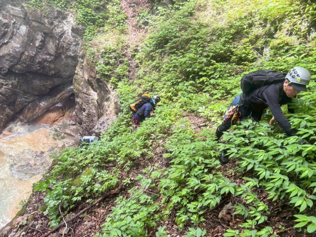 2026.6.7 那須/白水沢左俣左沢(沢登り)