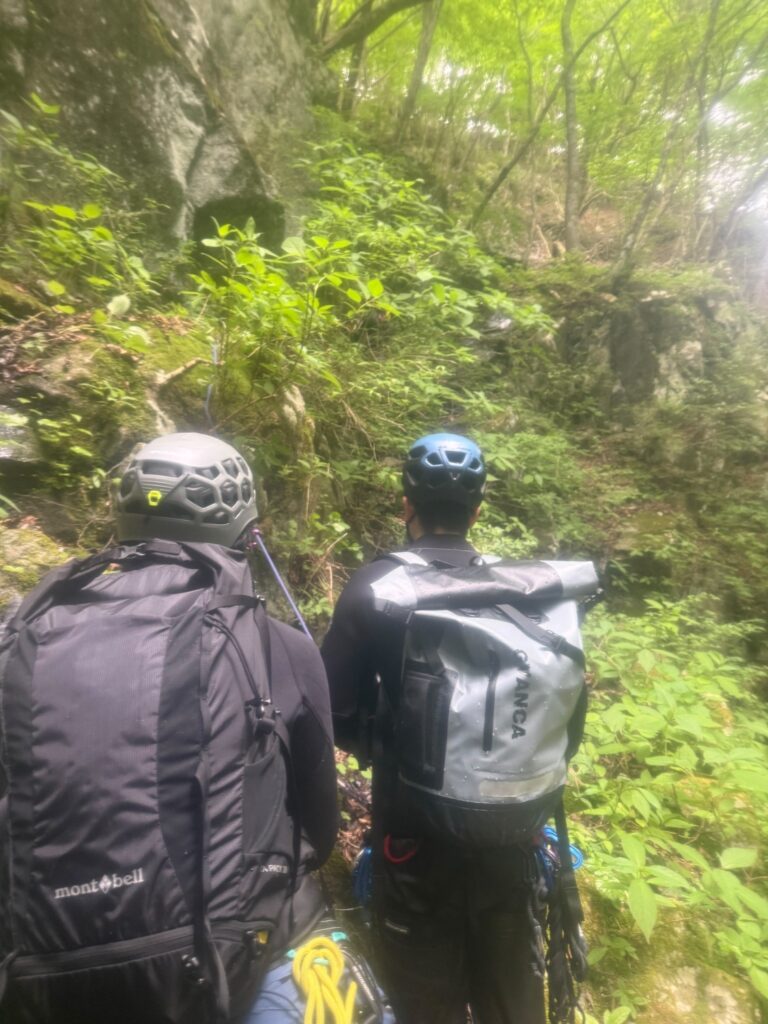 2026.5.10 裏丹沢/金山谷(沢登り)