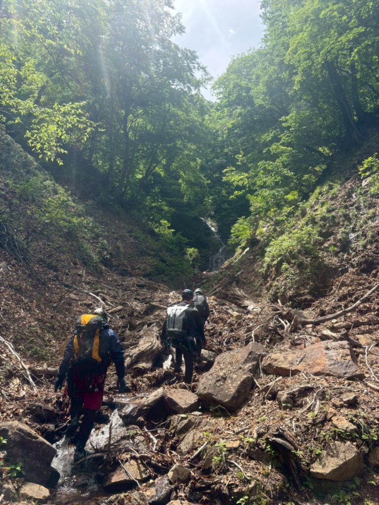 2026.6.7 那須/白水沢左俣左沢(沢登り)