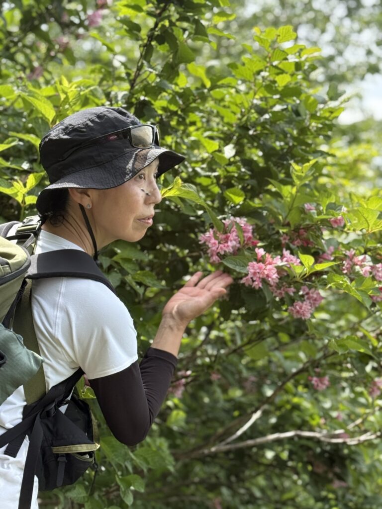2026.6.14　平標山（尾根歩き・ハイキング）