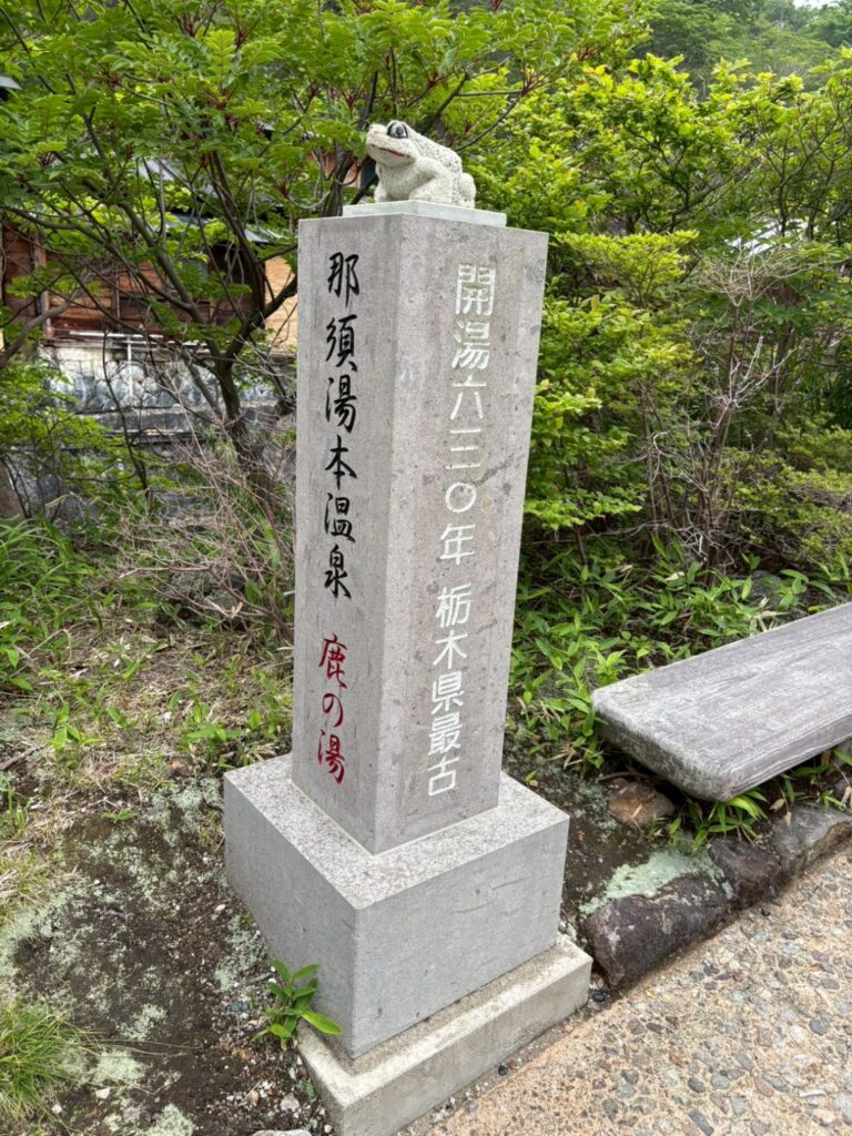 2026.6.7 那須/白水沢左俣左沢(沢登り)