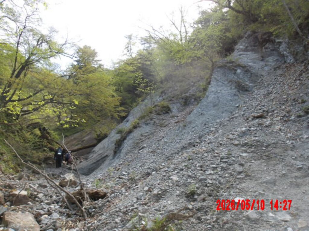 2026.5.10 裏丹沢/金山谷(沢登り)
