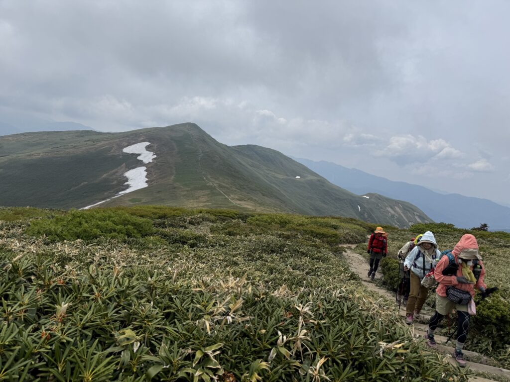 2026.6.14　平標山（尾根歩き・ハイキング）