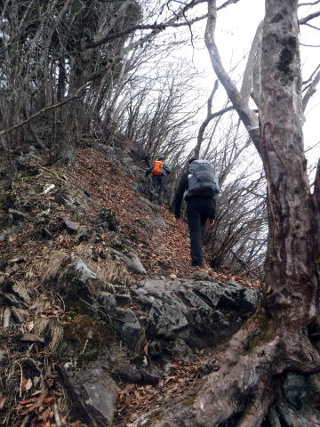2022.12.17 お坊山(尾根歩き)
