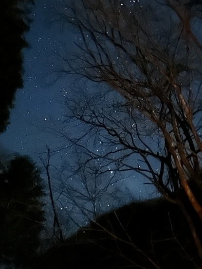 2022.12.3-4　大菩薩峠（尾根歩き）
