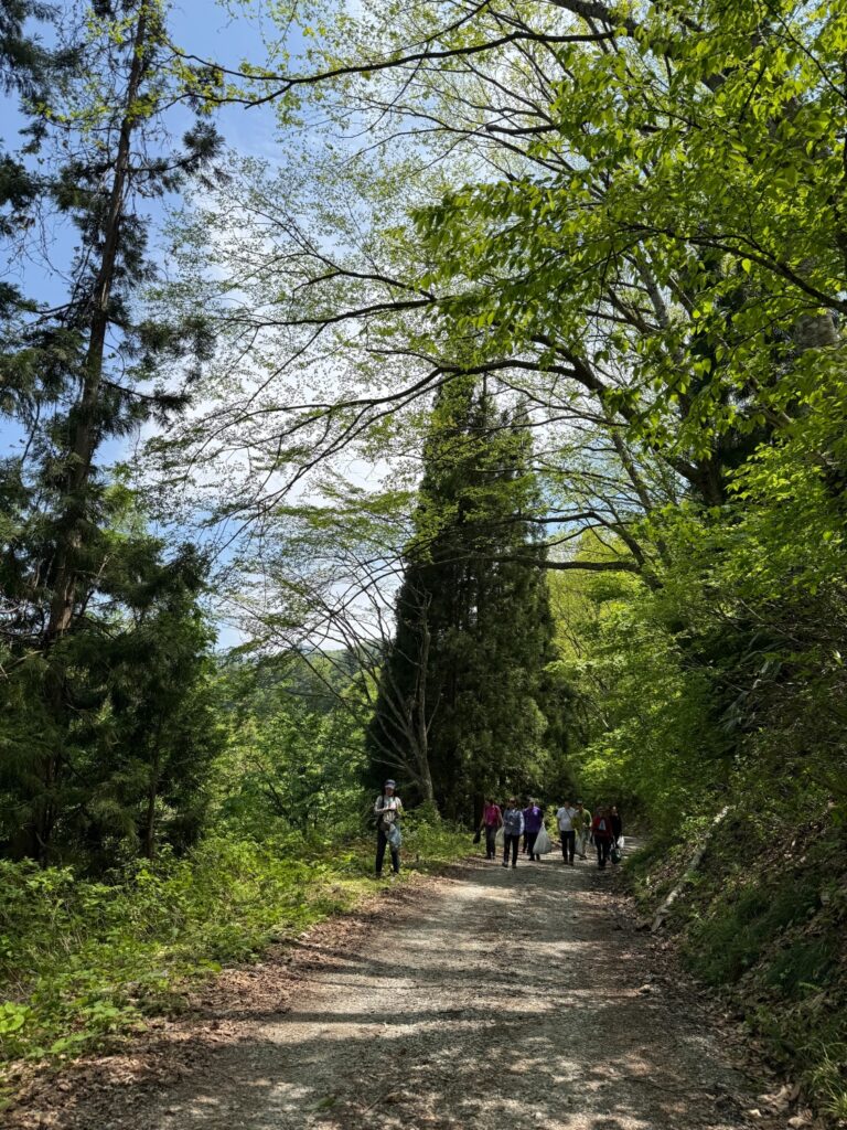 2026.5.16-17　赤湯温泉・山菜山行（イベント）