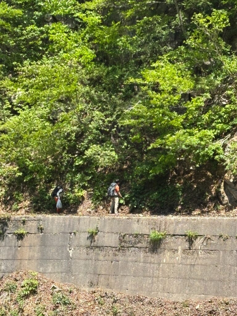 2026.5.16-17　赤湯温泉・山菜山行（イベント）