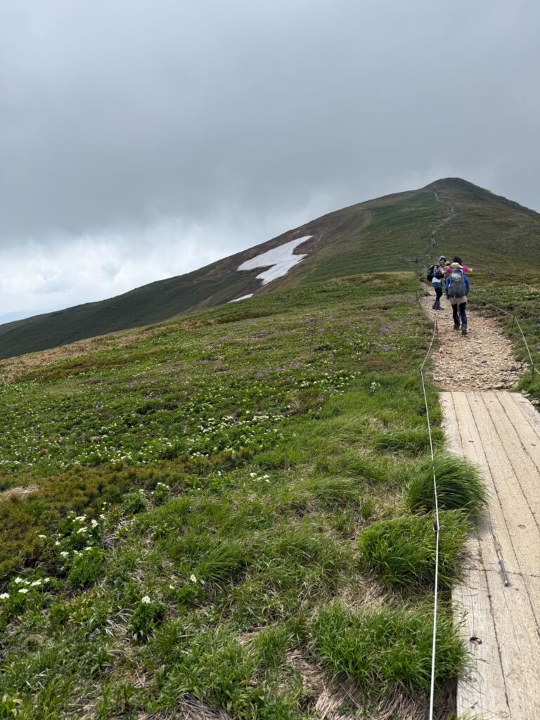2026.6.14　平標山（尾根歩き・ハイキング）