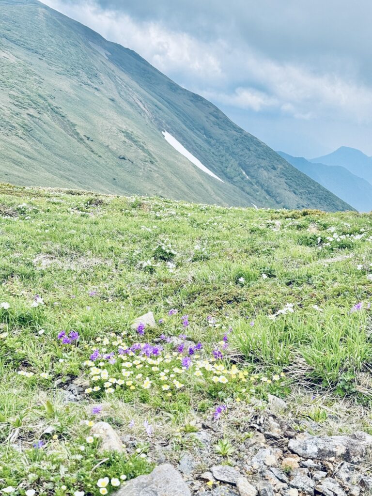 2026.6.14　平標山（尾根歩き・ハイキング）