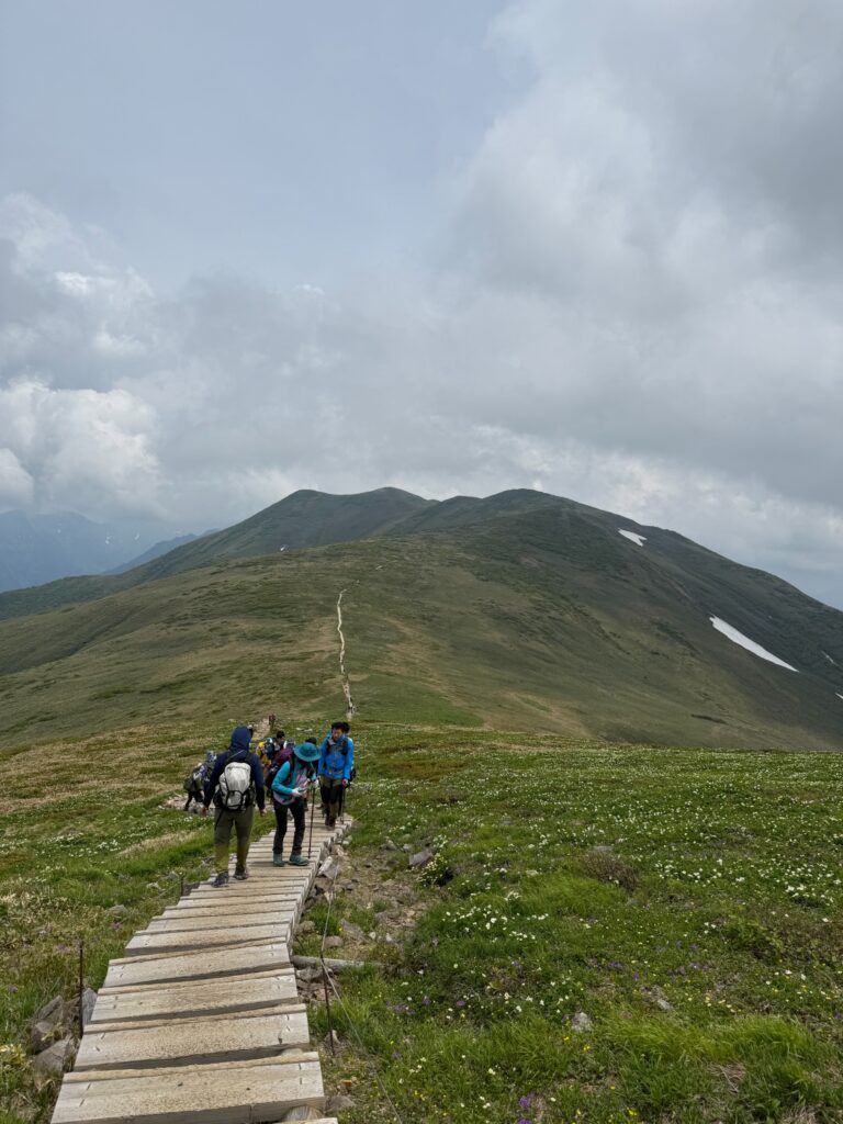2026.6.14　平標山（尾根歩き・ハイキング）