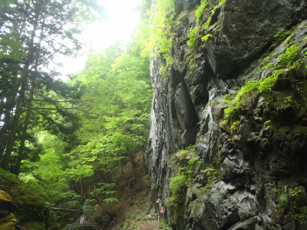 2026.6.6-7　小袖川・泊まり沢（沢登り）