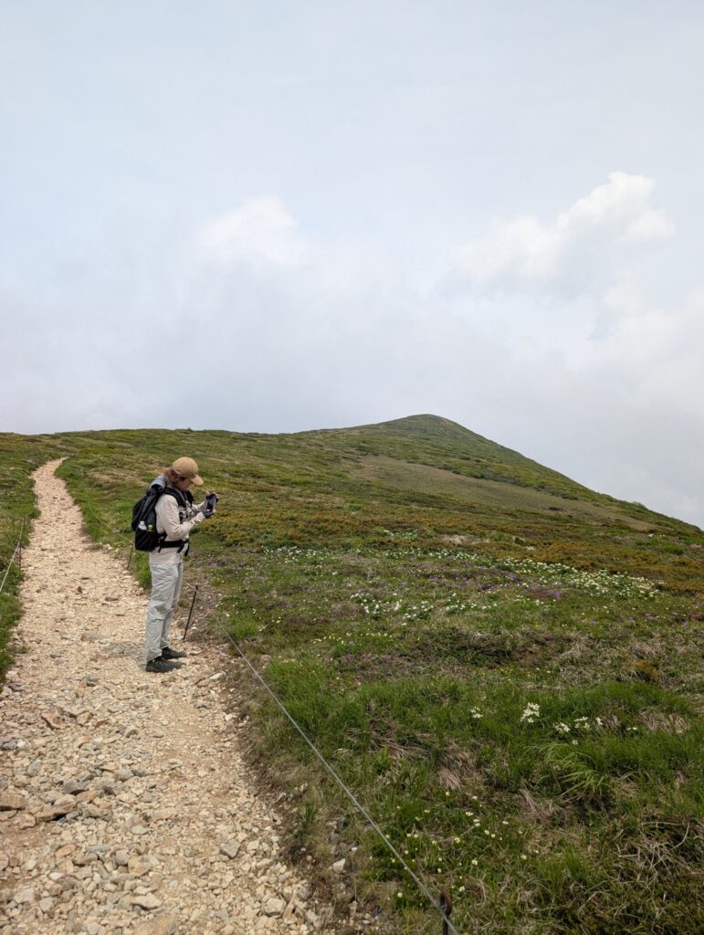 2026.6.14　平標山（尾根歩き・ハイキング）