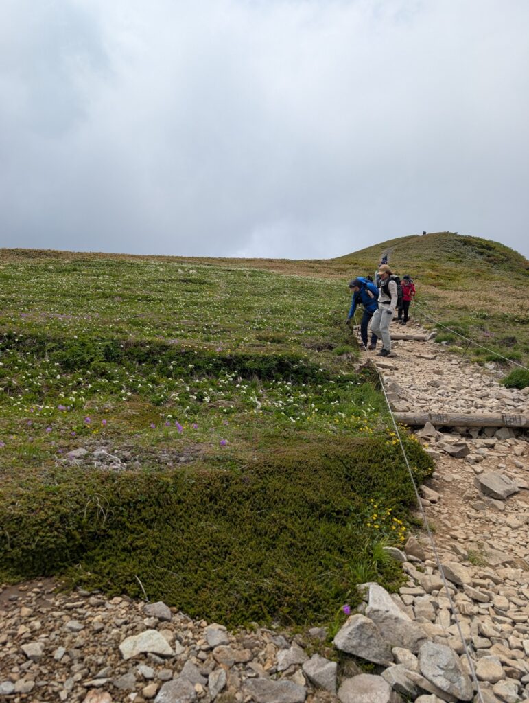 2026.6.14　平標山（尾根歩き・ハイキング）