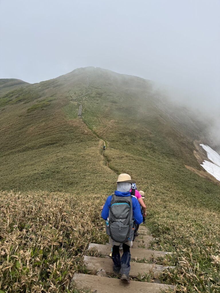 2026.6.14　平標山（尾根歩き・ハイキング）