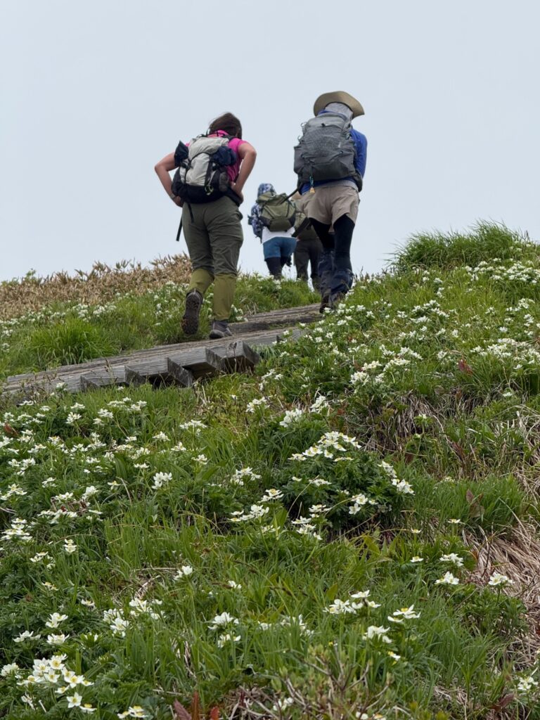 2026.6.14　平標山（尾根歩き・ハイキング）
