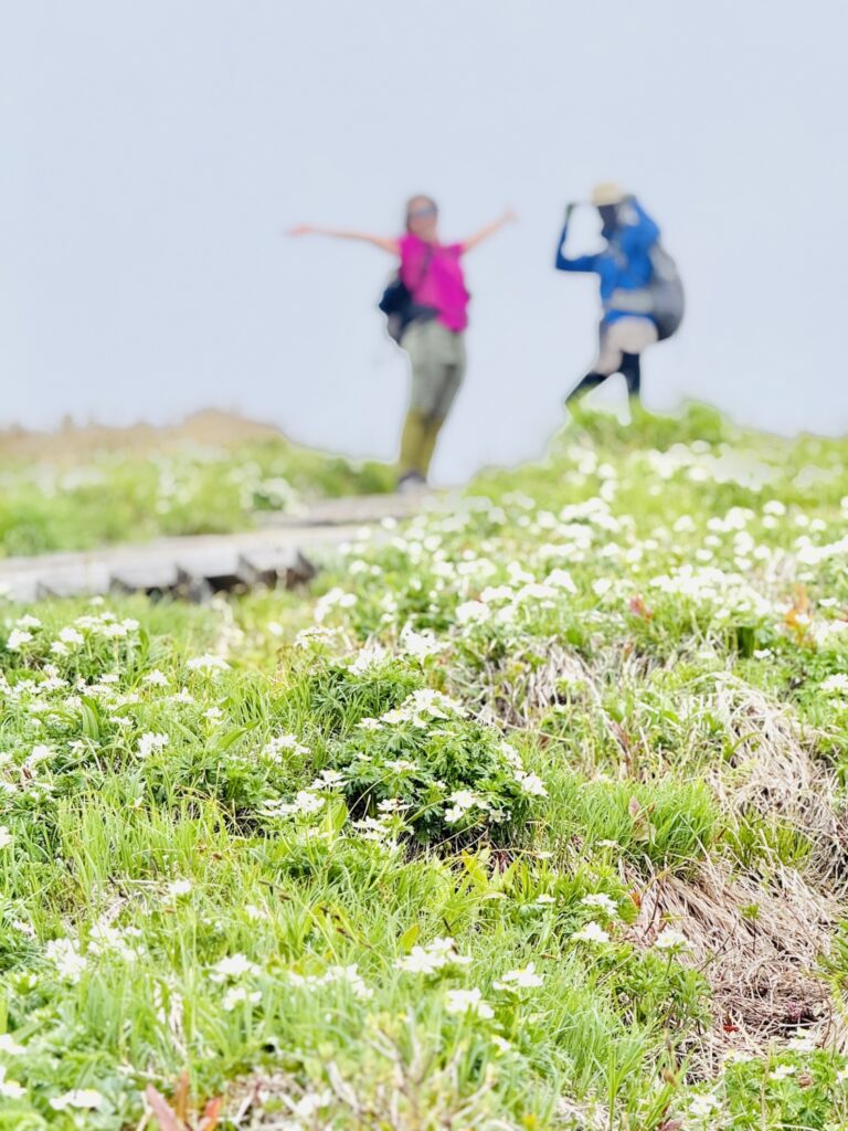 2026.6.14　平標山（尾根歩き・ハイキング）