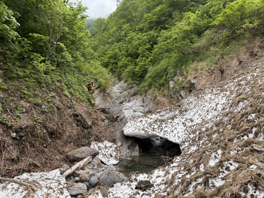 2026.5.23　谷川岳一ノ倉沢奥壁南稜（岩登り）