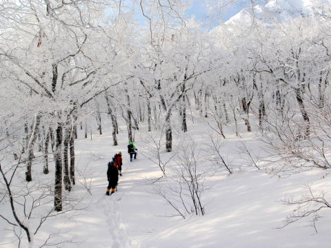 2012.1/8-9　那須・甲子山（雪山）