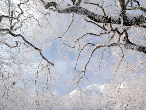 2012.1/8-9　那須・甲子山（雪山）