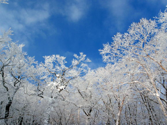 2012.1/8-9　那須・甲子山（雪山）