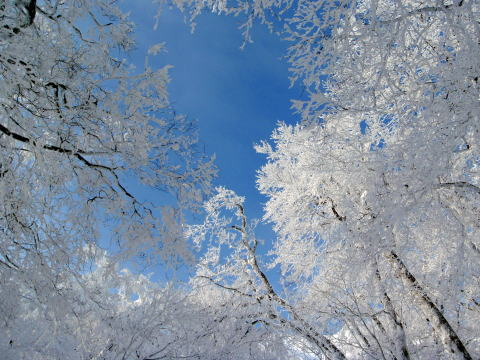 2012.1/8-9　那須・甲子山（雪山）