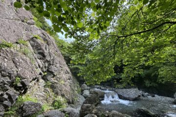 2026.6.13　モミソ沢ソグラ沢（沢登り）