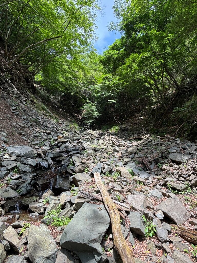 2026.6.13　モミソ沢ソグラ沢（沢登り）