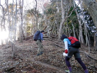 2020.11.22　本社ヶ丸から女坂峠と大沢山（ハイキング）