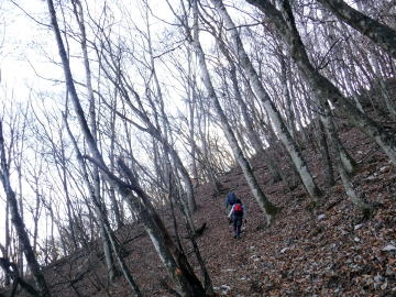 2020.11.22　本社ヶ丸から女坂峠と大沢山（ハイキング）