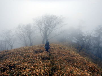 2020.11.21-23　黒法師岳（尾根歩き）