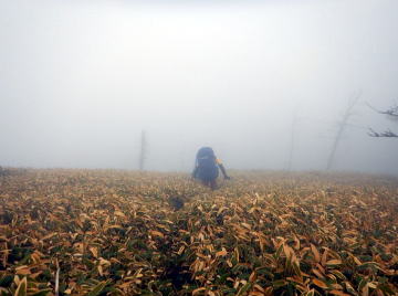 2020.11.21-23　黒法師岳（尾根歩き）