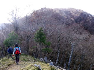2020.11.22　本社ヶ丸から女坂峠と大沢山（ハイキング）