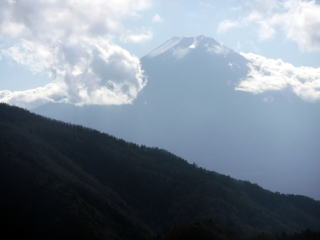 2020.11.22　本社ヶ丸から女坂峠と大沢山（ハイキング）