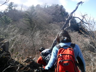 2020.11.22　本社ヶ丸から女坂峠と大沢山（ハイキング）