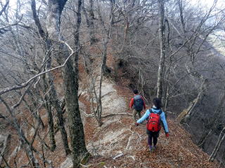 2020.11.22　本社ヶ丸から女坂峠と大沢山（ハイキング）