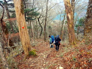 2020.11.21-23　黒法師岳（尾根歩き）